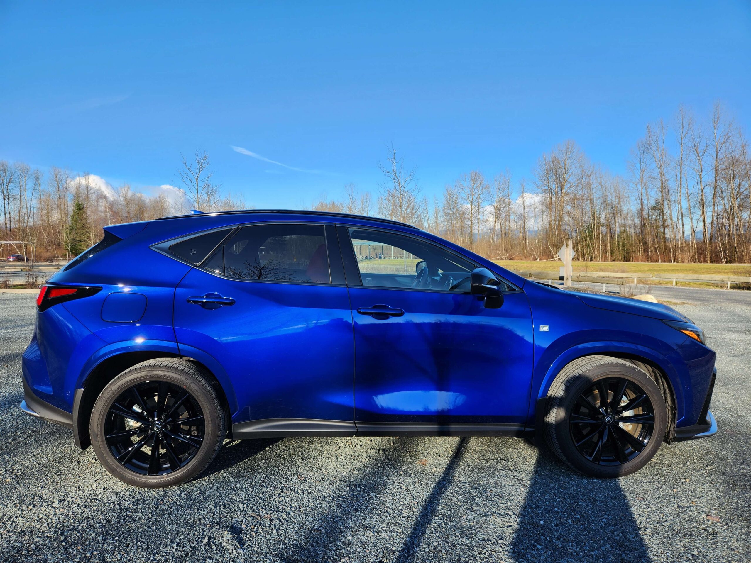 What To Make Of The 2024 Lexus NX450h+… | Rack and Opinion