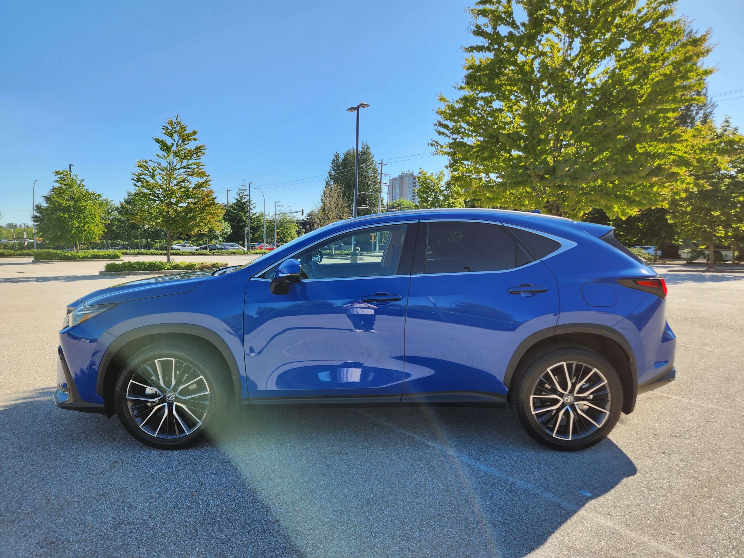 The Lexus NX 350 Is A Clinic In Refinement | Rack and Opinion